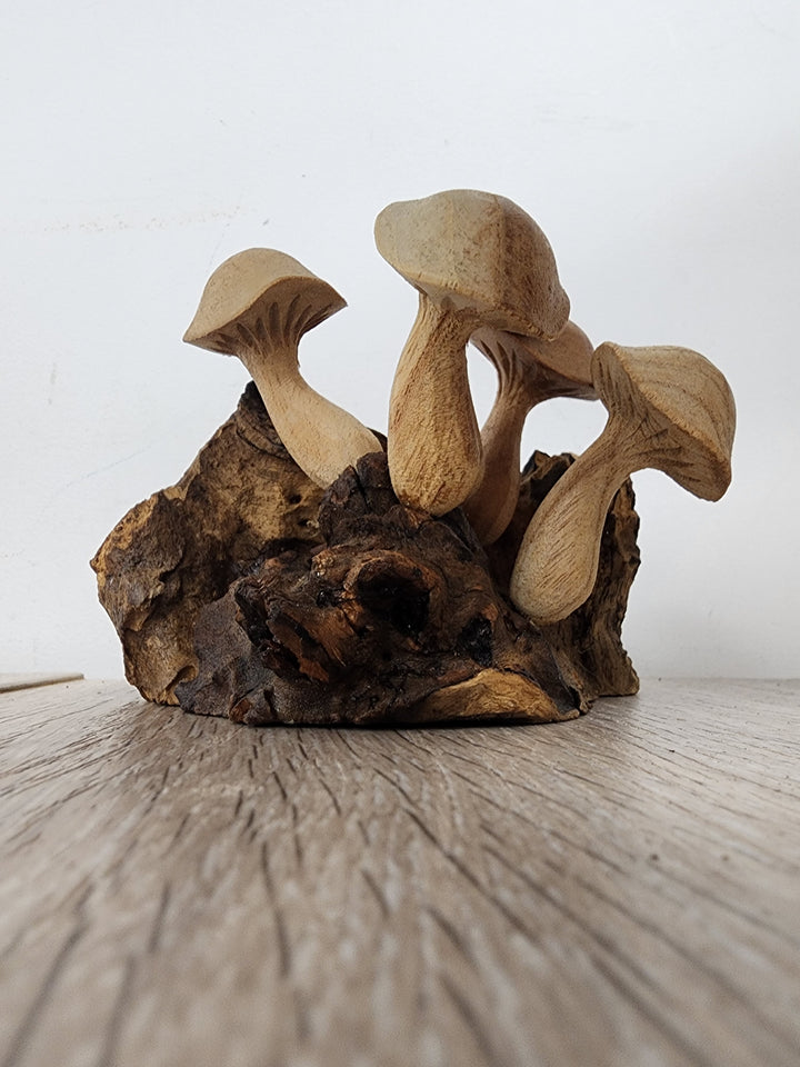 Pwood Mushroom 5