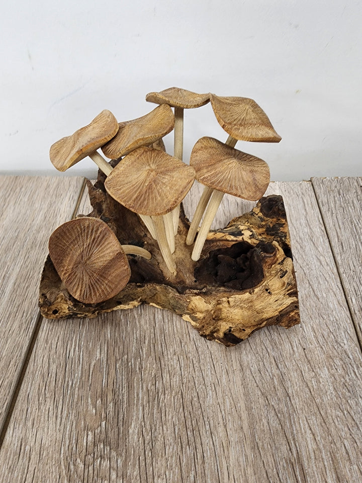 Pwood Mushroom 7