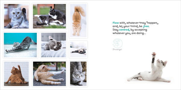 Catitude Book - eKo NZ - 