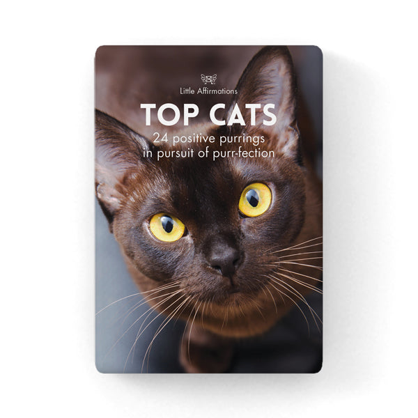 Quote Box - Top Cats