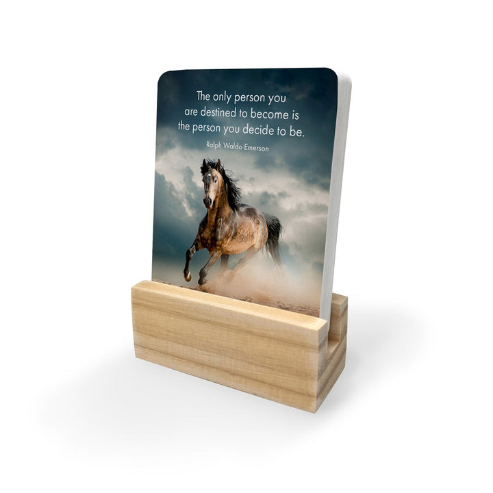 Quote Box - Horse Power