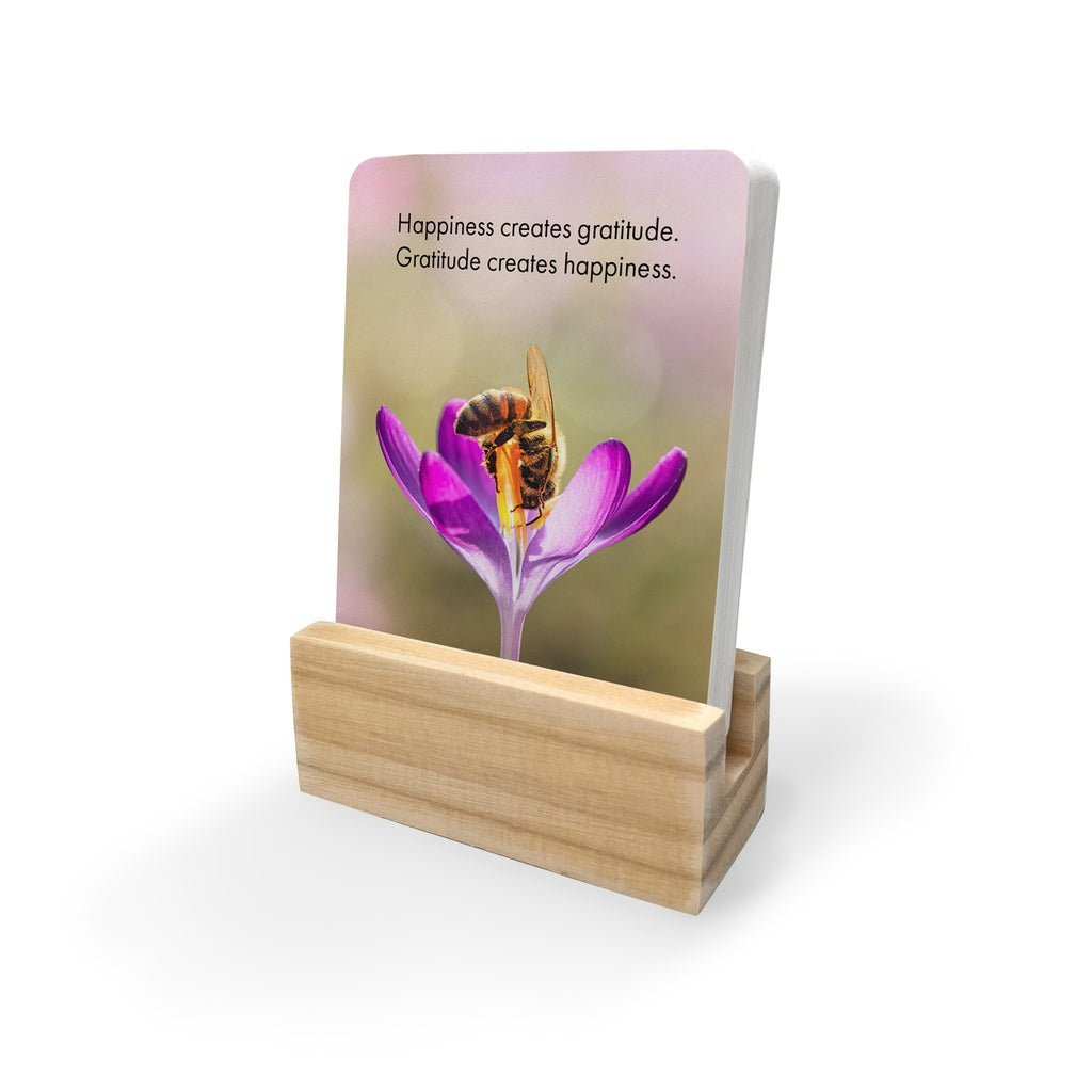 Quote Box - Just Bee