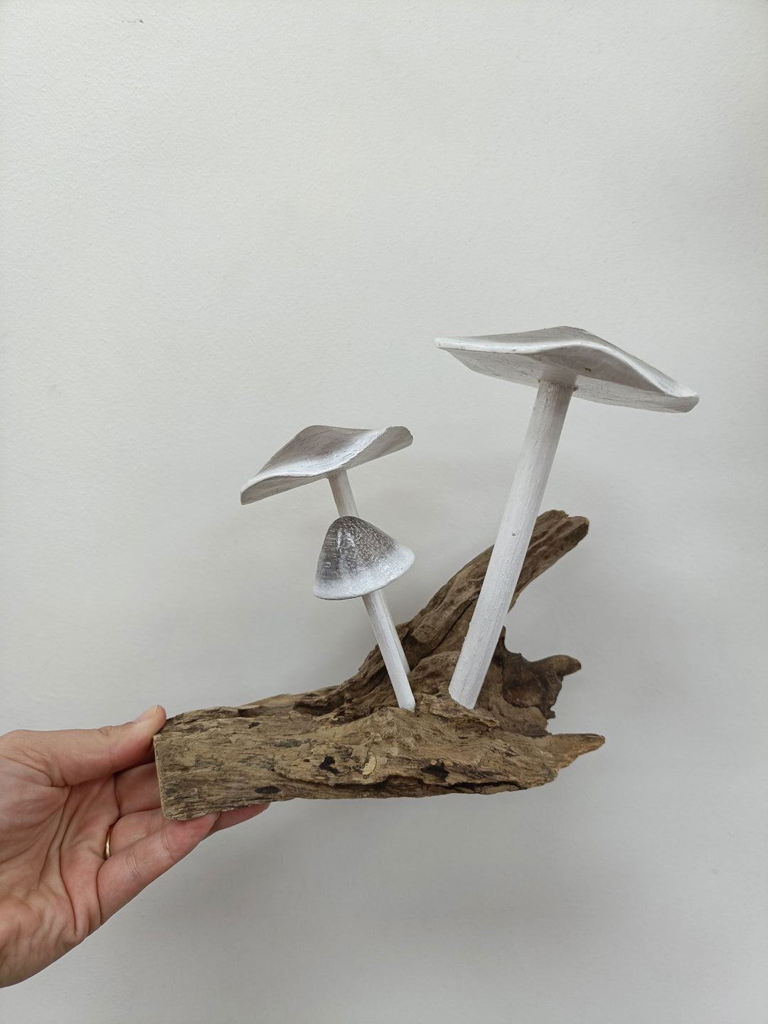 Mushroom (3) - eKo NZ - 