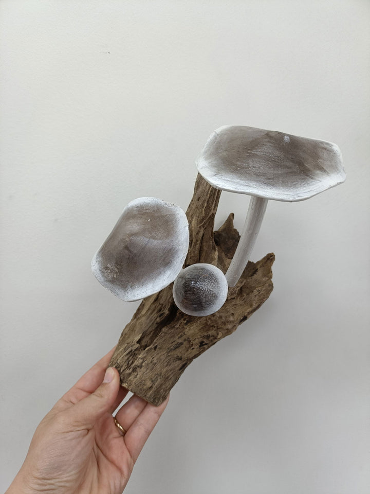 Mushroom (3) - eKo NZ - 